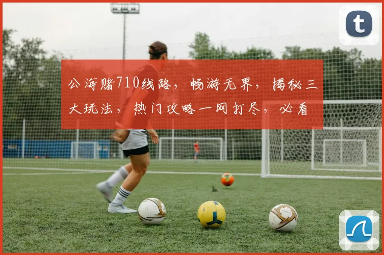 公海赌710线路，畅游无界，揭秘三大玩法，热门攻略一网打尽，必看