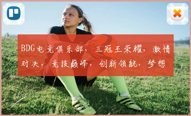 BDG电竞俱乐部，三冠王荣耀，激情对决，竞技巅峰，创新领航，梦想起航
