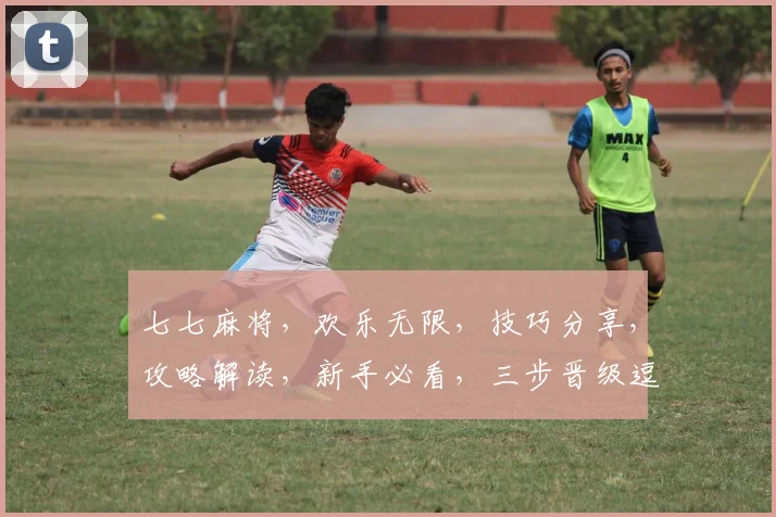 七七麻将，欢乐无限，技巧分享，攻略解读，新手必看，三步晋级逗逗乐