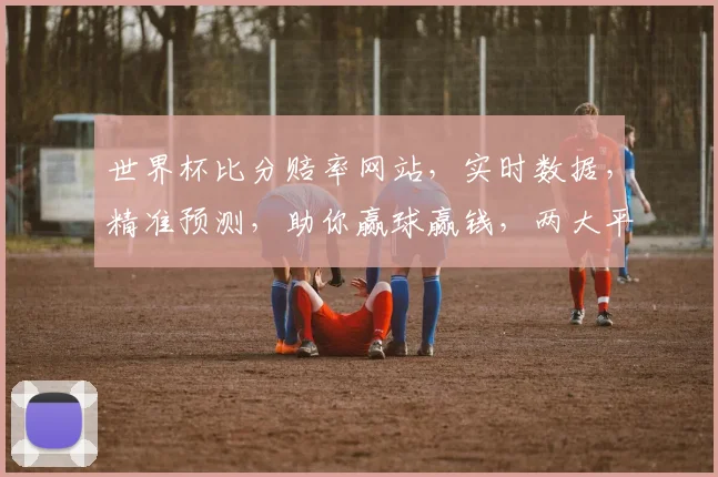 世界杯比分赔率网站，实时数据，精准预测，助你赢球赢钱，两大平台推荐，不容错过